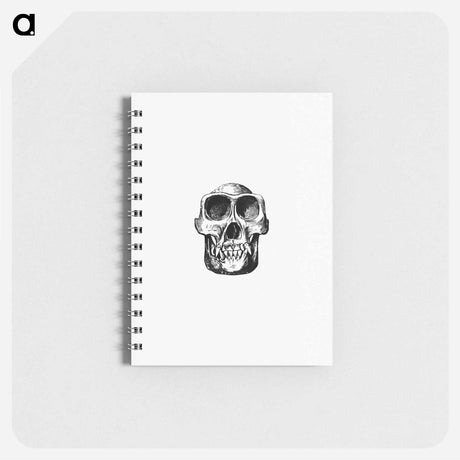 アートメモ帳-Equatorial African Skull
 - 大英図書館 Memo.