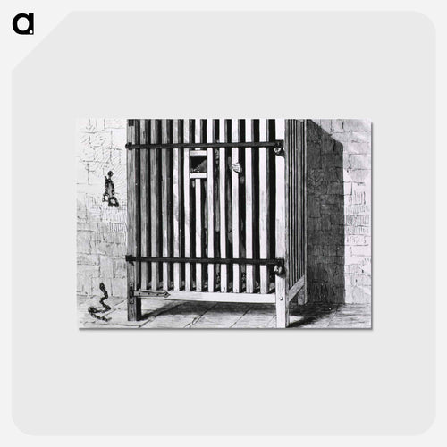 Belgian Cage
 - 国立医学図書館 Postcard.