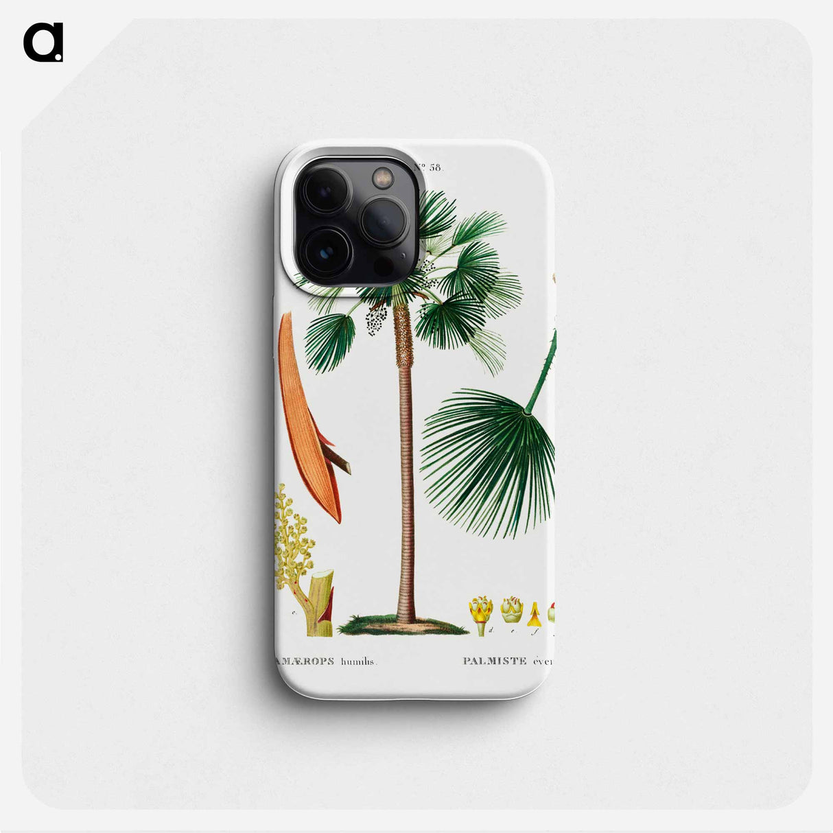 Palm fan (Chamaerops humilis) - Pierre Joseph Redouté Phone Case.