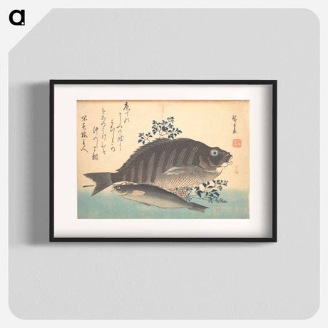 アートポスター-Shimadai and Ainame Fish, from the series Uozukushi (Every Variety of Fish)
 - 歌川 広重 Poster.