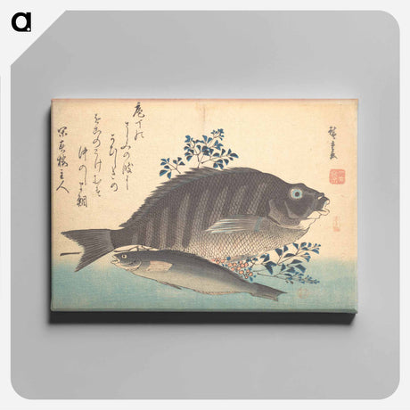 アートパネル-Shimadai and Ainame Fish, from the series Uozukushi (Every Variety of Fish)
 - 歌川 広重 Canvas.