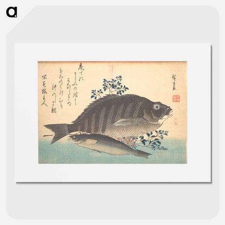 アートポスター-Shimadai and Ainame Fish, from the series Uozukushi (Every Variety of Fish)
 - 歌川 広重 Poster.