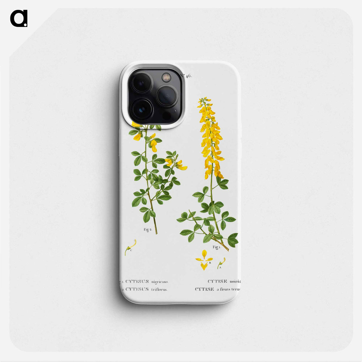 Black broom, Cytisus nigricans and hairy broom, Cytisus triflorus - Pierre Joseph Redouté Phone Case.