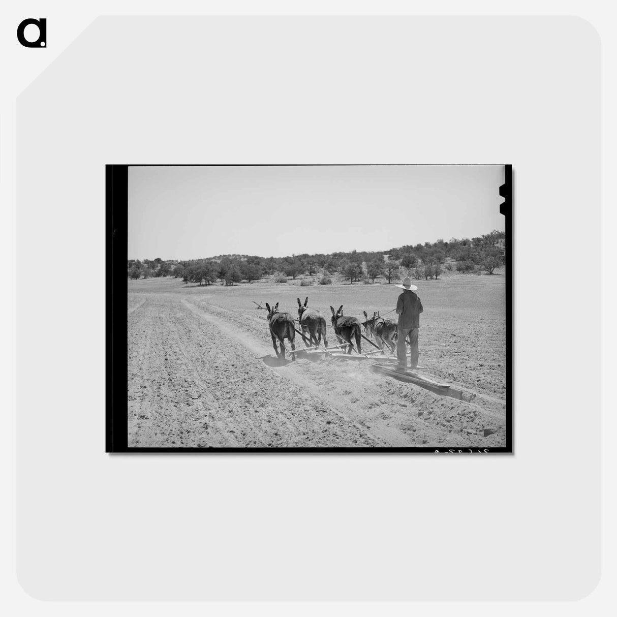 アートポストカード-Mr. Leatherman's Terraces
 - ラッセル リー Postcard.