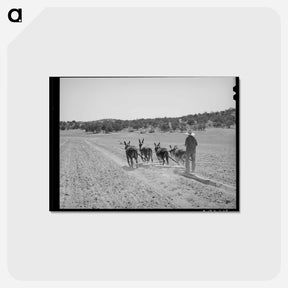アートポストカード-Mr. Leatherman's Terraces
 - ラッセル リー Postcard.