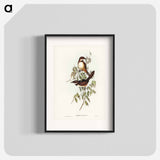 Noisy Brush-bird
 - オーストラリアの鳥 Poster.