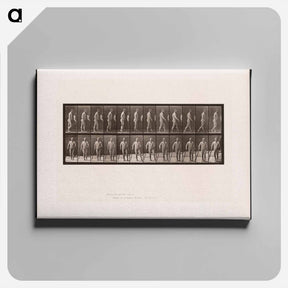 アートパネル-Hemiplegic Man Walking
 - エドワード マイブリッジ Canvas.