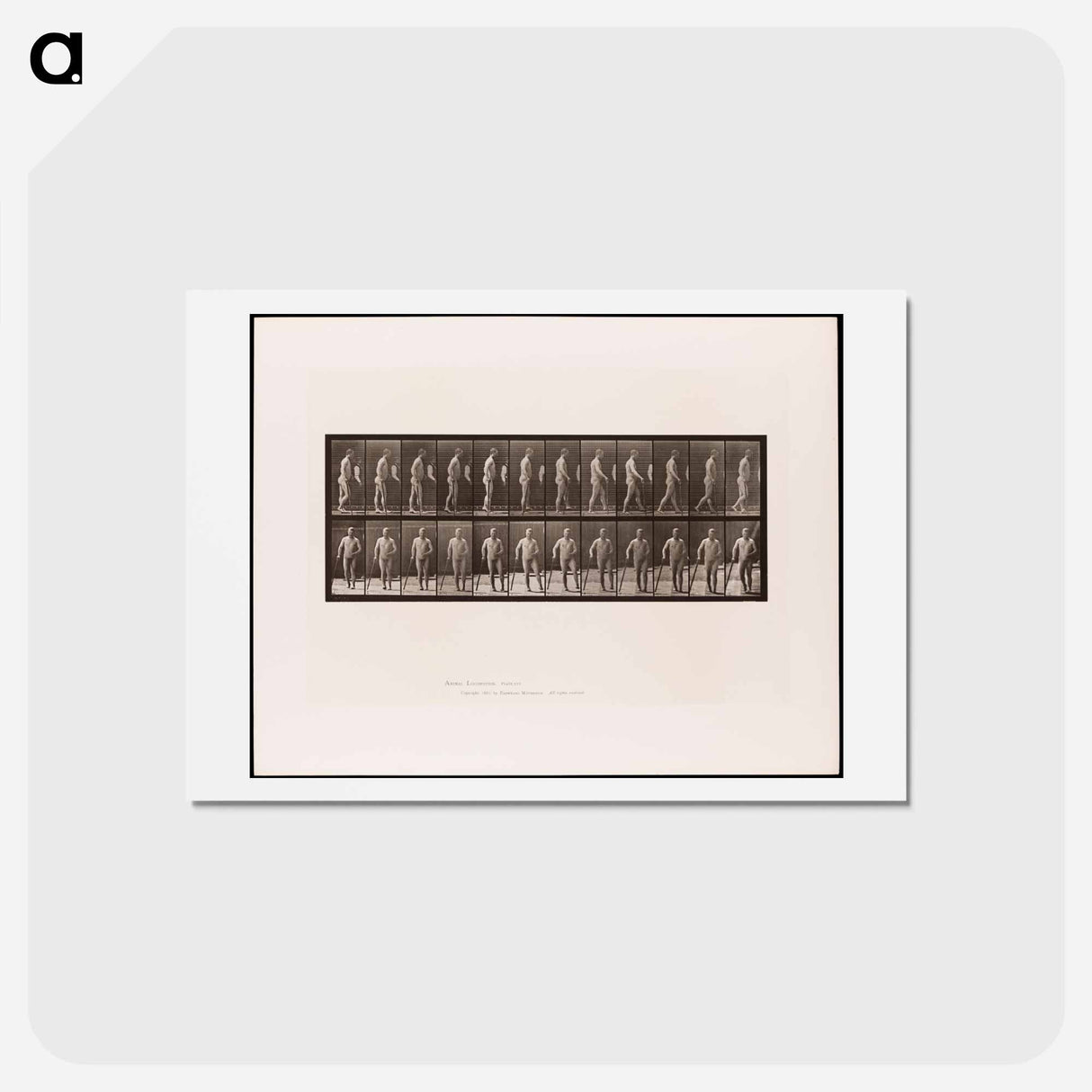 アートポストカード-Hemiplegic Man Walking
 - エドワード マイブリッジ Postcard.