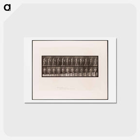 アートポストカード-Hemiplegic Man Walking
 - エドワード マイブリッジ Postcard.