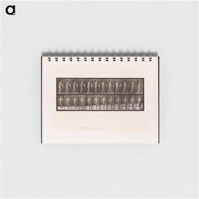 アートメモ帳-Hemiplegic Man Walking
 - エドワード マイブリッジ Memo.