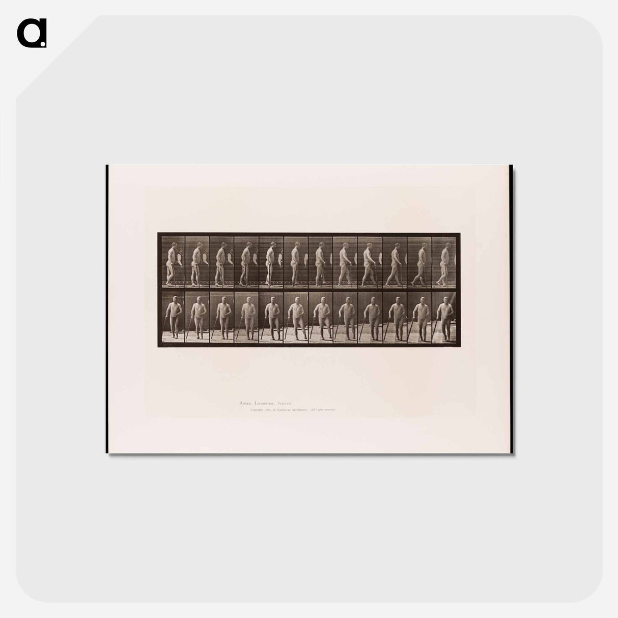 アートポストカード-Hemiplegic Man Walking
 - エドワード マイブリッジ Postcard.