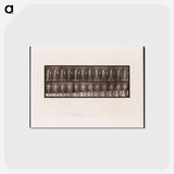 アートポストカード-Hemiplegic Man Walking
 - エドワード マイブリッジ Postcard.