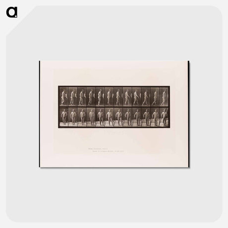 アートポストカード-Hemiplegic Man Walking
 - エドワード マイブリッジ Postcard.