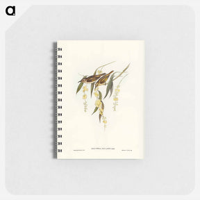 アートメモ帳-Brown Honey-eater
 - ジョン グールド Memo.