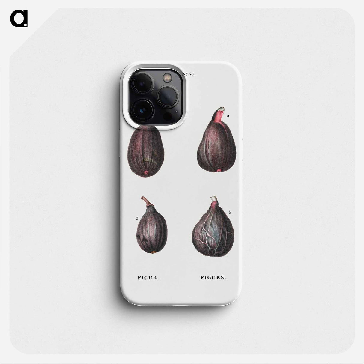 Figs (Ficus) - ピエール ジョゼフ ルドゥーテ Phone Case.