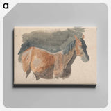 アートパネル-Sketch of a Horse
 - イェール大学アートギャラリー Canvas.