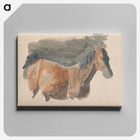 アートパネル-Sketch of a Horse
 - イェール大学アートギャラリー Canvas.