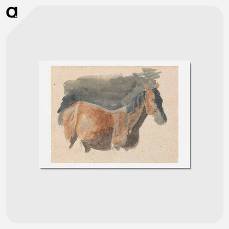 アートポストカード-Sketch of a Horse
 - イェール大学アートギャラリー Postcard.