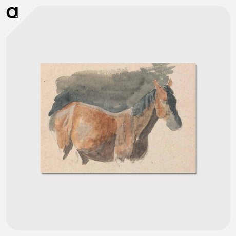 アートポストカード-Sketch of a Horse
 - イェール大学アートギャラリー Postcard.