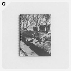 アートメモ帳-Ditch bank housing for Mexican field workers - ドロテア ラング Memo.