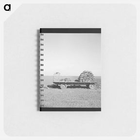 アートメモ帳-Untitled photo - ドロテア ラング Memo.