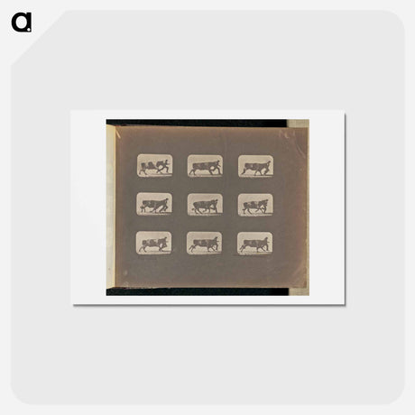 アートポストカード-Running
 - エドワード マイブリッジ Postcard.