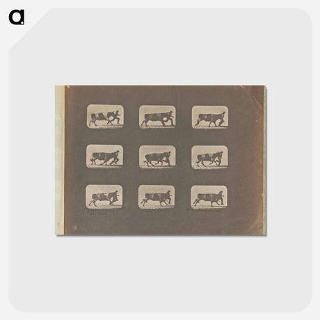 アートポストカード-Running
 - エドワード マイブリッジ Postcard.