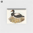 アートメモ帳-Semipalmated Goose
 - オーストラリアの鳥 Memo.