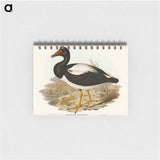 アートメモ帳-Semipalmated Goose
 - オーストラリアの鳥 Memo.