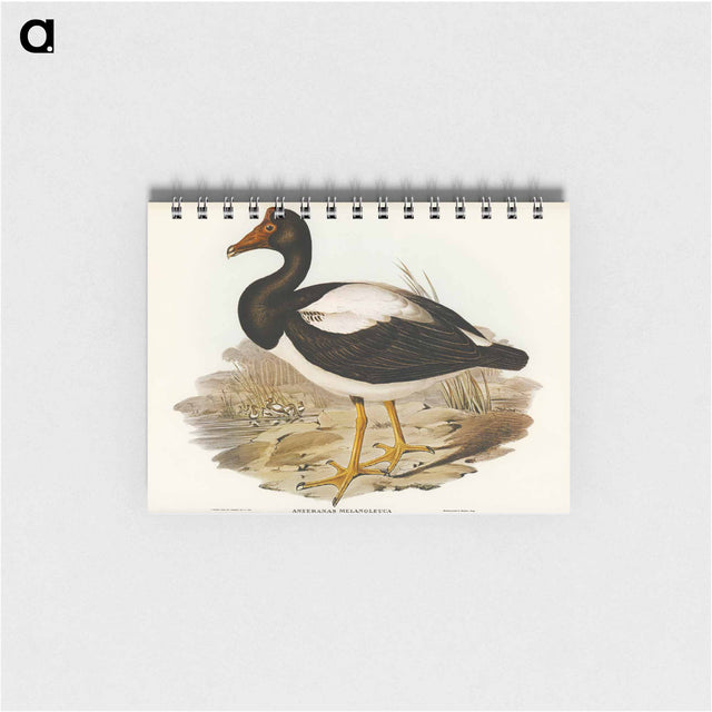 アートメモ帳-Semipalmated Goose
 - オーストラリアの鳥 Memo.