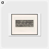 アートポストカード-Storks by Water
 - エドワード マイブリッジ Postcard.