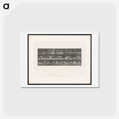 アートポストカード-Storks by Water
 - エドワード マイブリッジ Postcard.