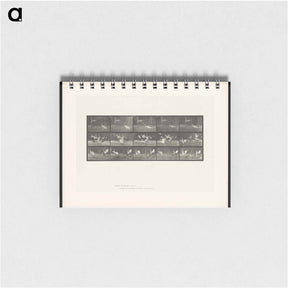 アートメモ帳-Storks by Water
 - エドワード マイブリッジ Memo.