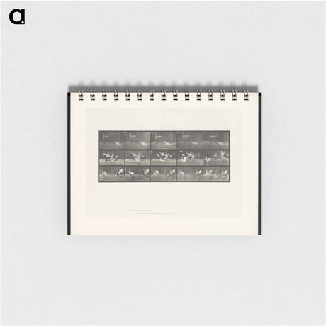 アートメモ帳-Storks by Water
 - エドワード マイブリッジ Memo.