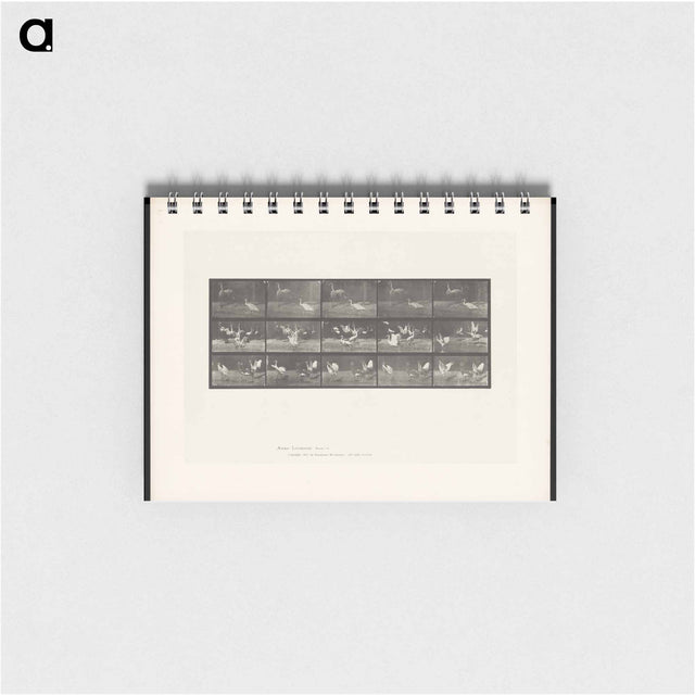アートメモ帳-Storks by Water
 - エドワード マイブリッジ Memo.