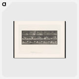 アートポストカード-Storks by Water
 - エドワード マイブリッジ Postcard.