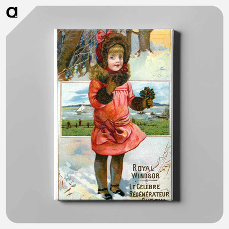 アートパネル-Royal Windsor: le célèbre régénérateur des cheveux
 - 国立医学図書館 Canvas.