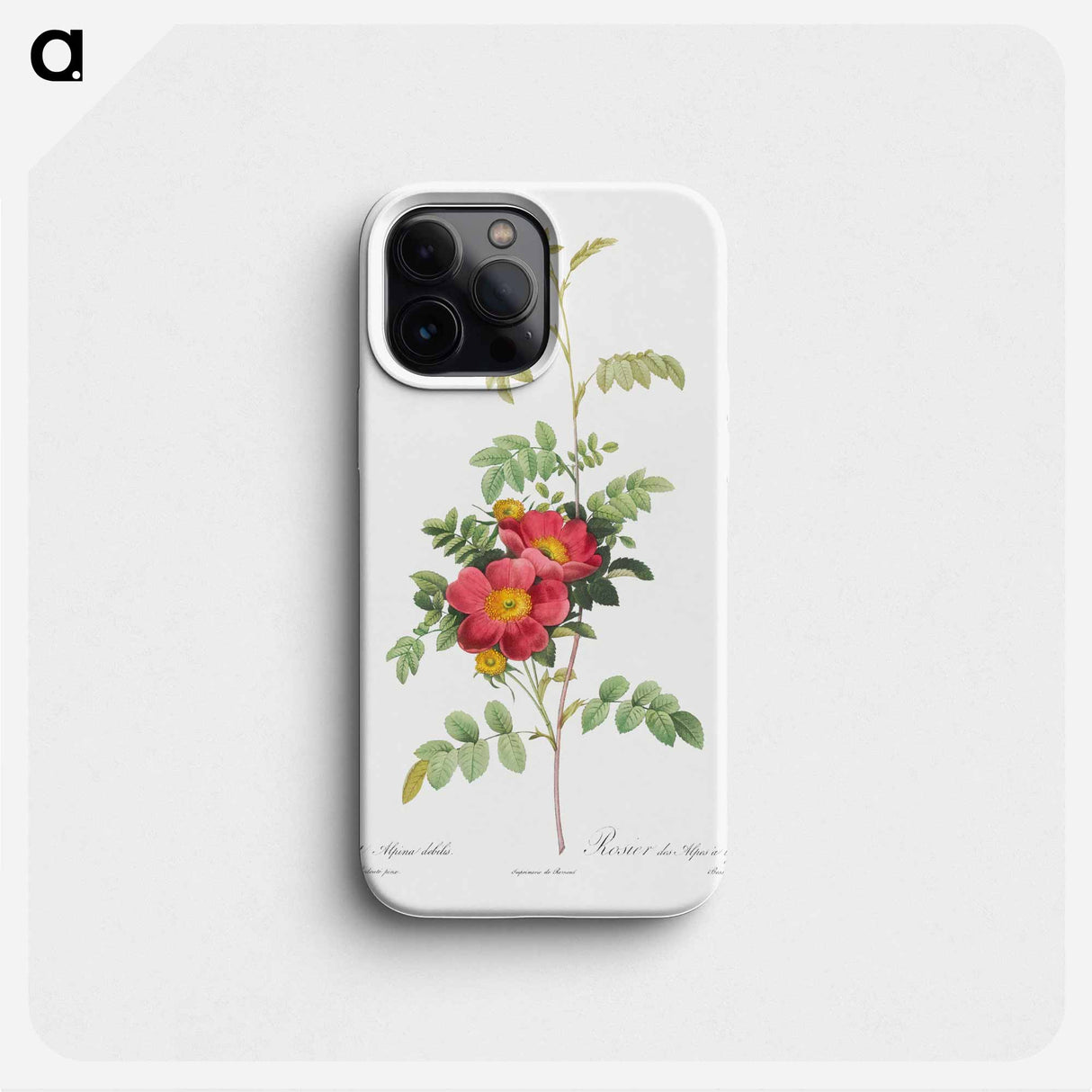 Alpine Rose - ピエール ジョゼフ ルドゥーテ Phone Case.