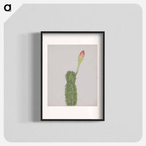 アートポスター-Cactus
 - セントルイス美術館 Poster.
