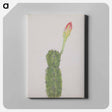 アートパネル-Cactus
 - セントルイス美術館 Canvas.