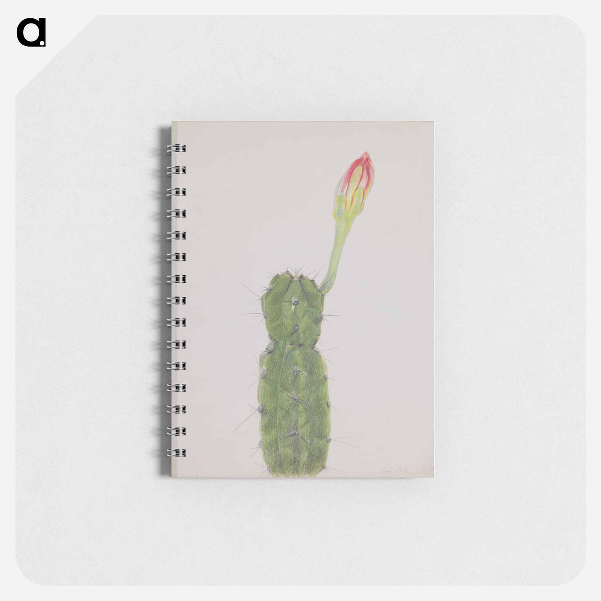 アートメモ帳-Cactus
 - セントルイス美術館 Memo.