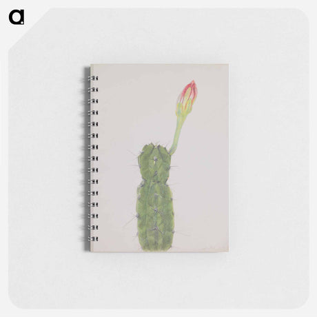 アートメモ帳-Cactus
 - セントルイス美術館 Memo.