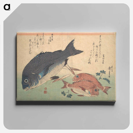 アートパネル-Kurodai and Kodai Fish with Bamboo Shoots and Berries, from the series Uozukushi (Every Variety of Fish)
 - 歌川 広重 Canvas.