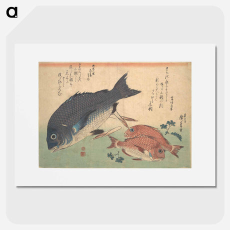 アートポスター-Kurodai and Kodai Fish with Bamboo Shoots and Berries, from the series Uozukushi (Every Variety of Fish)
 - 歌川 広重 Poster.