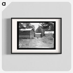 アートポスター-Untitled photo, possibly related to: Tobacco barns on the Stone place. Upchurch, North Carolina - ドロテア ラング Poster.