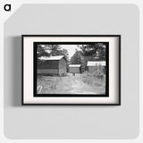 Untitled photo, possibly related to: Tobacco barns on the Stone place. Upchurch, North Carolina - Dorothea Lange Poster.