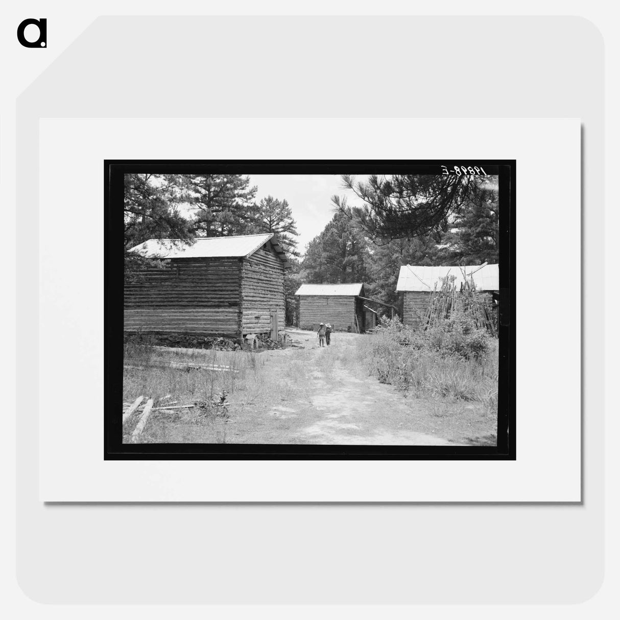 Untitled photo, possibly related to: Tobacco barns on the Stone place. Upchurch, North Carolina - Dorothea Lange Poster.