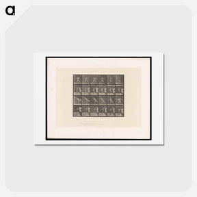 アートポストカード-The Thrower
 - エドワード マイブリッジ Postcard.