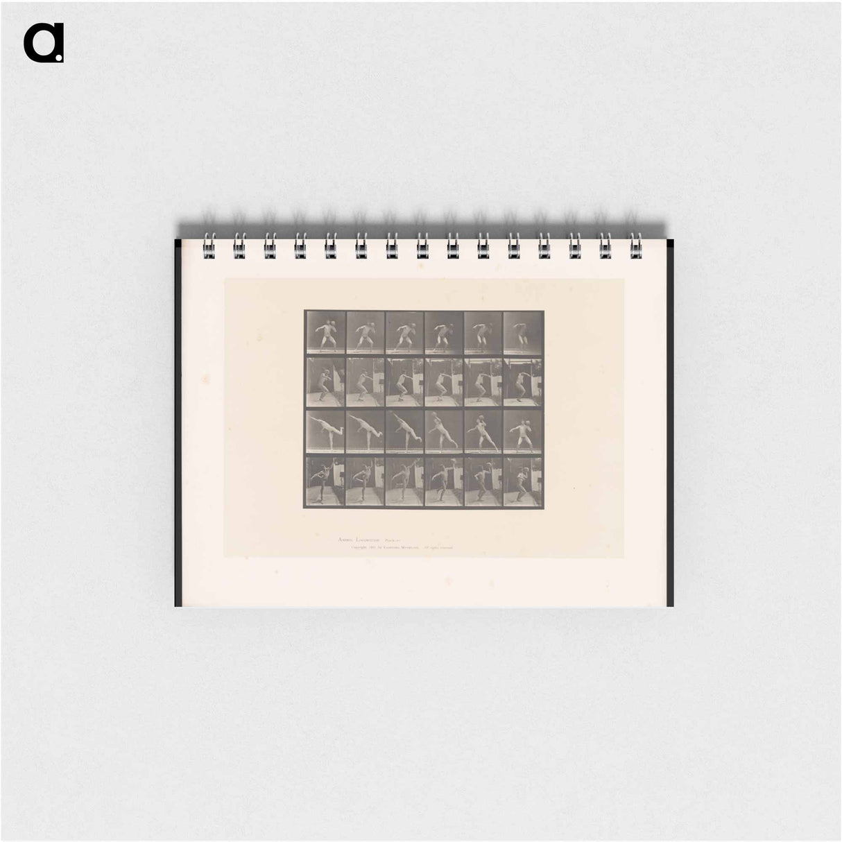 アートメモ帳-The Thrower
 - エドワード マイブリッジ Memo.