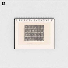 アートメモ帳-The Thrower
 - エドワード マイブリッジ Memo.